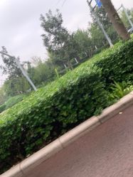 -HEYAN长风荷妍专业脱毛美肤
