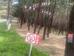 -云岗森林公园