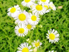 -安庆师范大学(龙山校区)