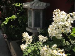 -北京石刻艺术博物馆(五塔寺)