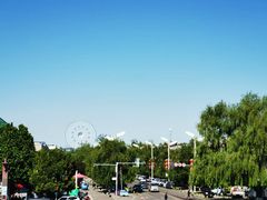 -特克斯八卦城