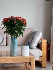 -慈蕊美容养生·专业经络调理