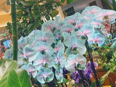 -北京厨房(SKP店)