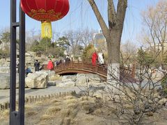 -莲花池公园