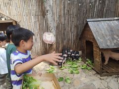 -HERRE·FARM 赫尔露营农场·团建聚会包场