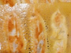 -海派美食·家宴海鲜青岛菜·石锅鲽鱼头(东方城店)