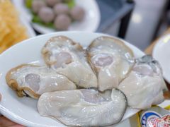 -濠轩阁特色生蚝火锅总店