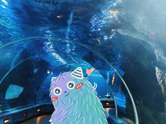 -石家庄海洋公园