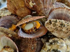 -宾朋海鲜饭庄(兴海路店)