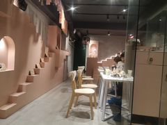 -猫儿山۰猫主题餐厅