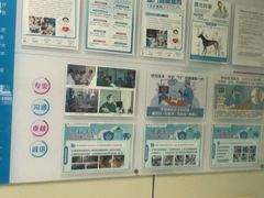 -北京观赏动物医院·24小时大型综合·猫专科·异宠专科