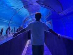 -成都浩海立方海洋公园