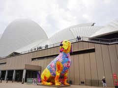 -悉尼歌剧院