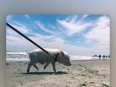 -云晓光头烧烤吧(新大陆广场店)