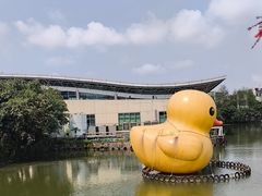 -紫马岭游泳馆