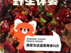 -羲和雅苑•北京烤鸭(乐园道万象城店)