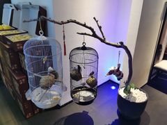 -悦融·京鲁菜·露台花园(安定门店)