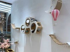 -1013 PET SHOP精品宠物商店(丁香店)