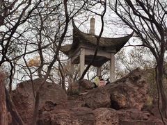 -紫金山山顶公园