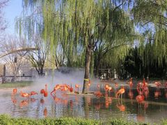 -石家庄市动物园