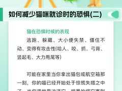 -瑞派申生动物医院·24H夜诊·国际动物医疗中心·骨外科(吴中路店)