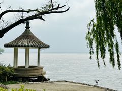 -同里湖度假村(二期店)