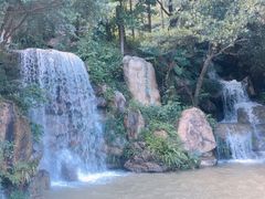 -广州市帽峰山景区