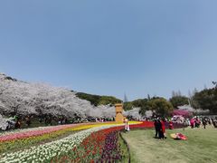 -苏州上方山国家森林公园