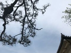 -名古屋城