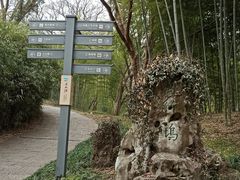 -采石矶景区