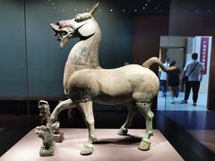 -广西壮族自治区博物馆