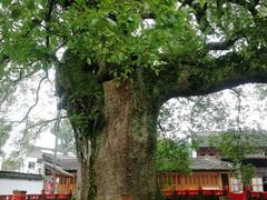-新安江山水画廊风景区