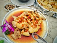 -鲤鱼塘农家山庄