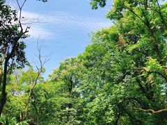 -法云古村