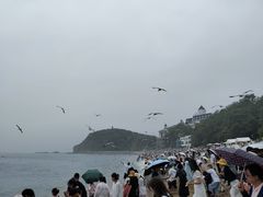 -棒棰岛宾馆景区