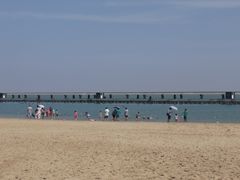 -碧海金沙