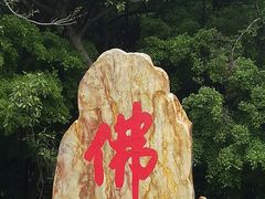 -南国桃园旅游度假区