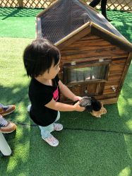 -萌宠亲子动物乐园(槐房万达店)