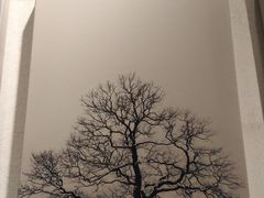 -IKEA宜家家居(南京商场)