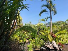 -自然餐厅(Phuket)