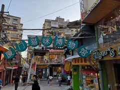 -猫咪博物馆(顶澳仔猫街店)