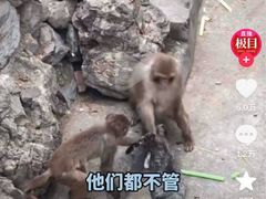 -昆明动物园