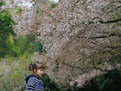 -杭州少年儿童公园