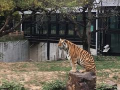 -宿豫区运河湾森林动物园