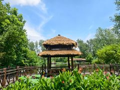 -溱湖国家湿地公园