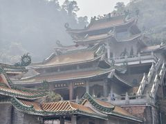 -南海湾森林生态园