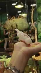 -Zoolung Zoolung动物主题公园(海信广场店)