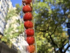 -和禄德冰糖葫芦(东四朝内菜市场店)