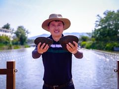 -苏州太湖西山岛开心农场