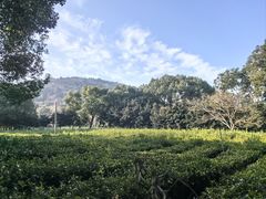 -虞山风景区